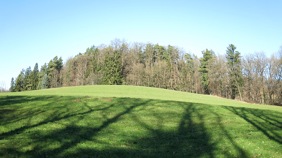 Grünland und Wald am Kapellenweg. Foto: ©Auferbauer