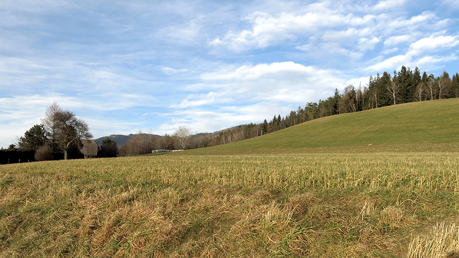 Bauernland an der Kalkleitenstraße. Foto: ©Auferbauer