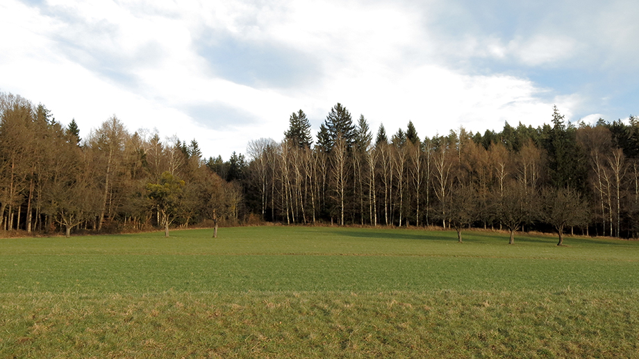  Dämmerung im Jänner, an der Kalkleitenstraße. Foto: ©Auferbauer