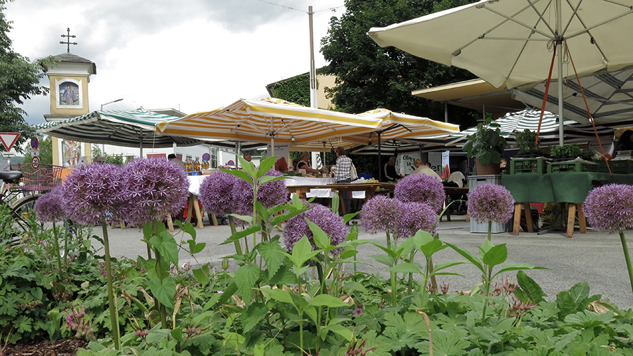 Der Spaziergang-Anfang, Bauernmarkt am Andritzer Hauptplatz. Foto: ©Auferbauer