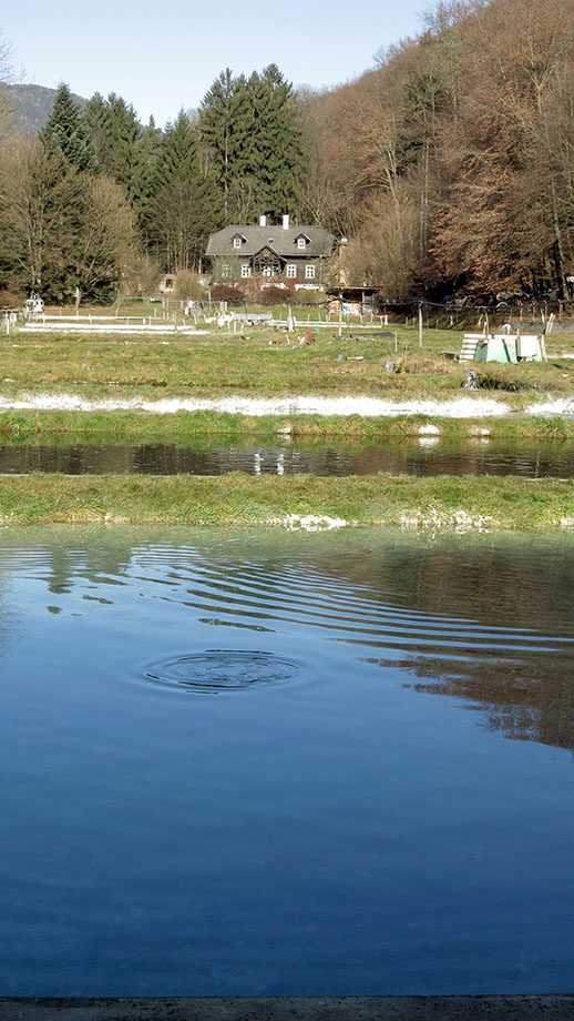 Am Ursprungblick in Stattegg; Forellenzucht Igler. Foto: ©Auferbauer