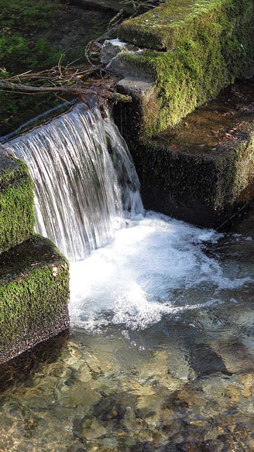 Ursprung, Abfluss aus dem Quelltopf. Foto: ©Auferbauer