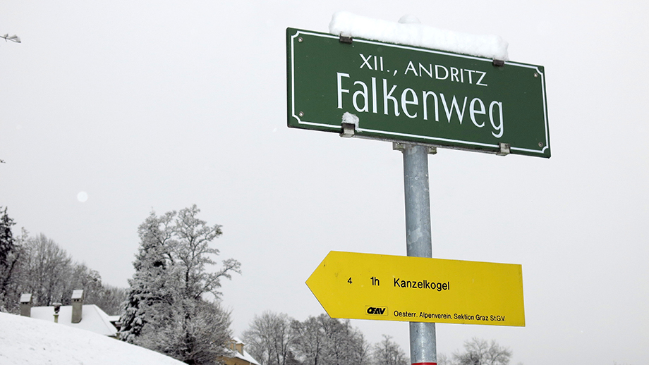 Am Falkenweg, Richtung Kanzelkogel, St. Veit, Bogenhof. Foto: ©Auferbauer