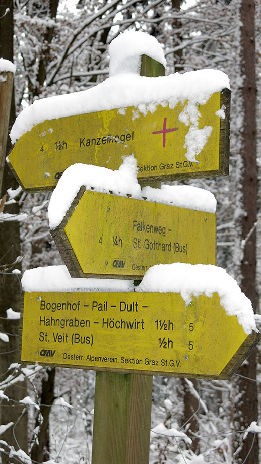  Am Admonter Kogel, Richtung Kanzelkogel, St. Veit, Bogenhof. Foto: ©Auferbauer