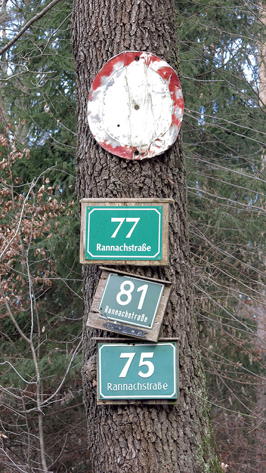 Weggabel (510 m) ohne Orientierungshilfe, von der Rannachstraße (510 m) in Richtung Bogenhof. Foto: ©Auferbauer