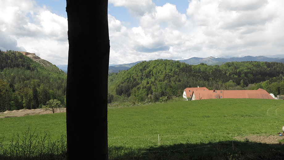 Bogenhof (460 m). Foto: ©Auferbauer