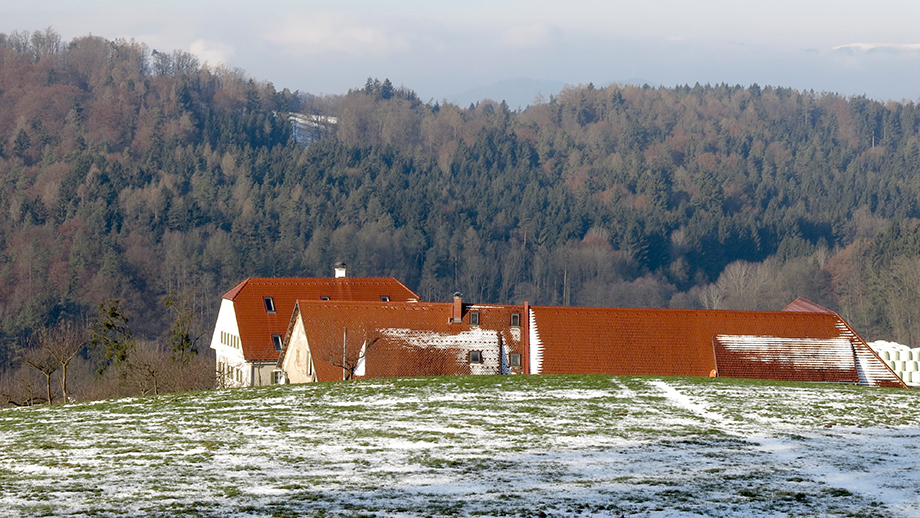 Bogenhof (460 m). Foto: ©Auferbauer