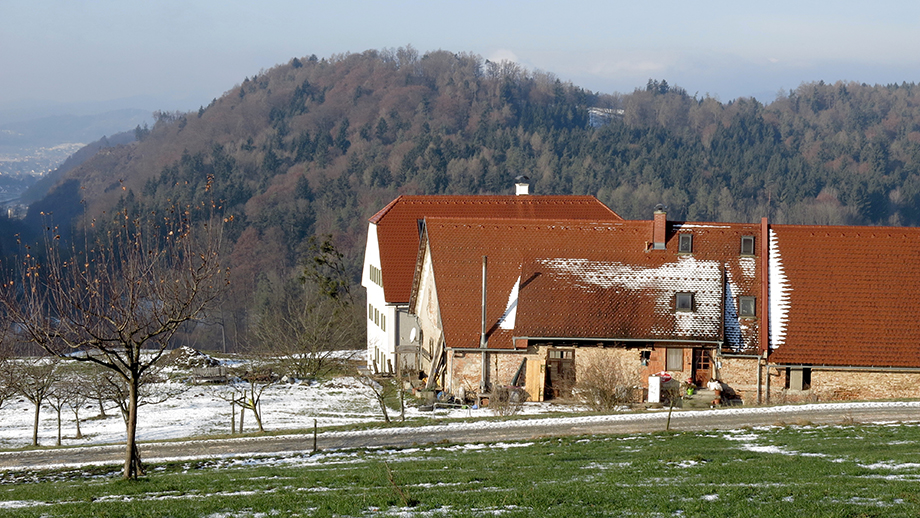 Bogenhof (460 m). Foto: ©Auferbauer