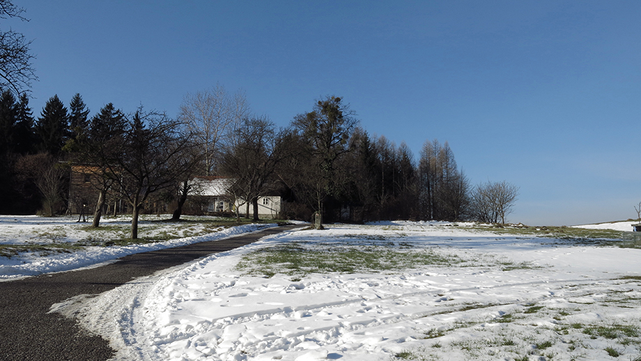 Am Kogelbauerweg, zum Haus Pail 13 und Richtung Schrauß. Foto: ©Auferbauer