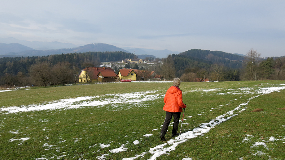 Am Schraußberg in Richtung Alpengarten, Wanderweg Nr. 1. Foto: ©Auferbauer