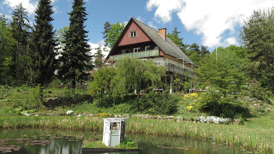 Ganzjährig freier Zutritt, Alpengarten (640 m) an der Rannach. Foto: ©Auferbauer