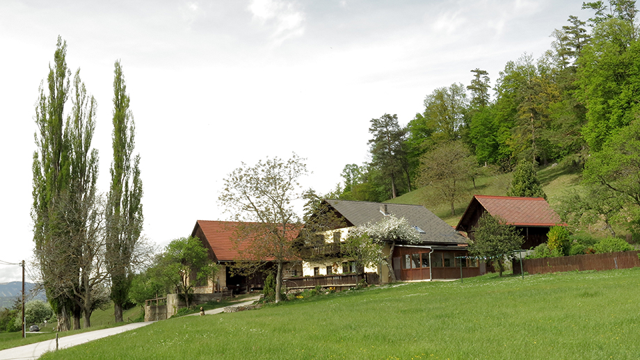 An der Rannachstraße bzw. am Weg Nr. 766. Foto: ©Auferbauer