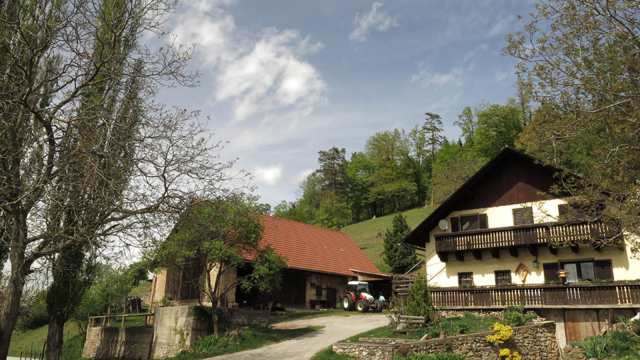 An der Rannachstraße bzw. am Weg Nr. 766. Foto: ©Auferbauer