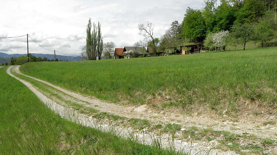 An der Rannachstraße bzw. am Weg Nr. 766. Foto: ©Auferbauer