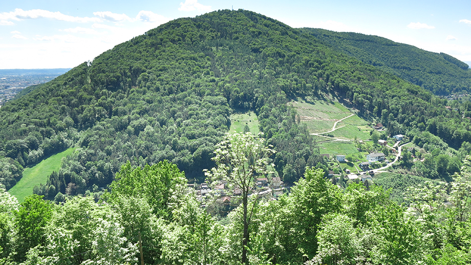 Von der Burgruine Gösting in Richtung Plabutsch. Foto: ©Auferbauer