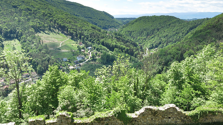 Von Burgruine Gösting in Richtung Thal. Foto: ©Auferbauer