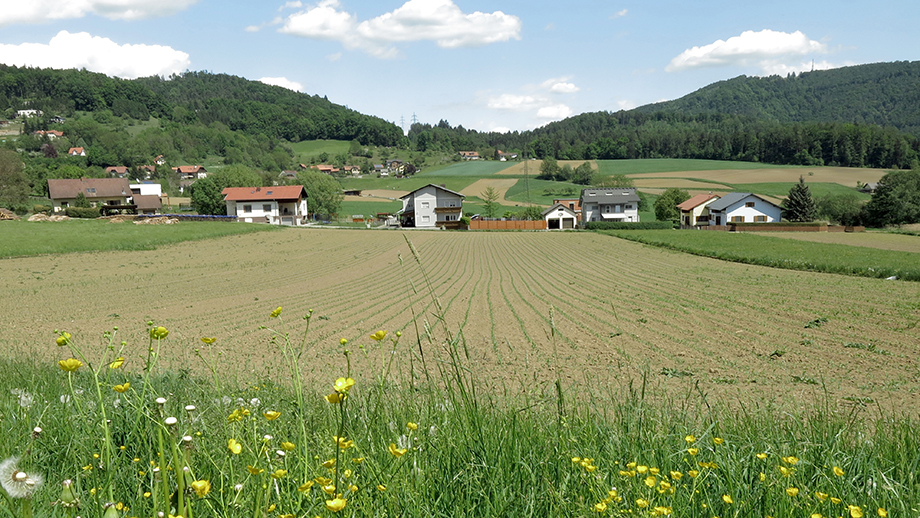 In Thal Kötschberg, Richtung Thal Oberbichl. Foto: ©Auferbauer