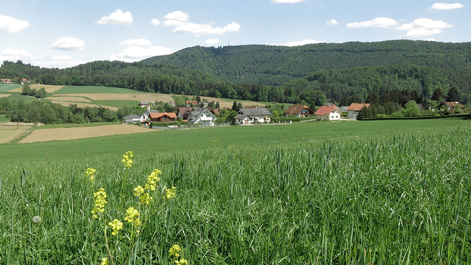 Thal Kötschberg, Richtung Plabutsch. Foto: ©Auferbauer