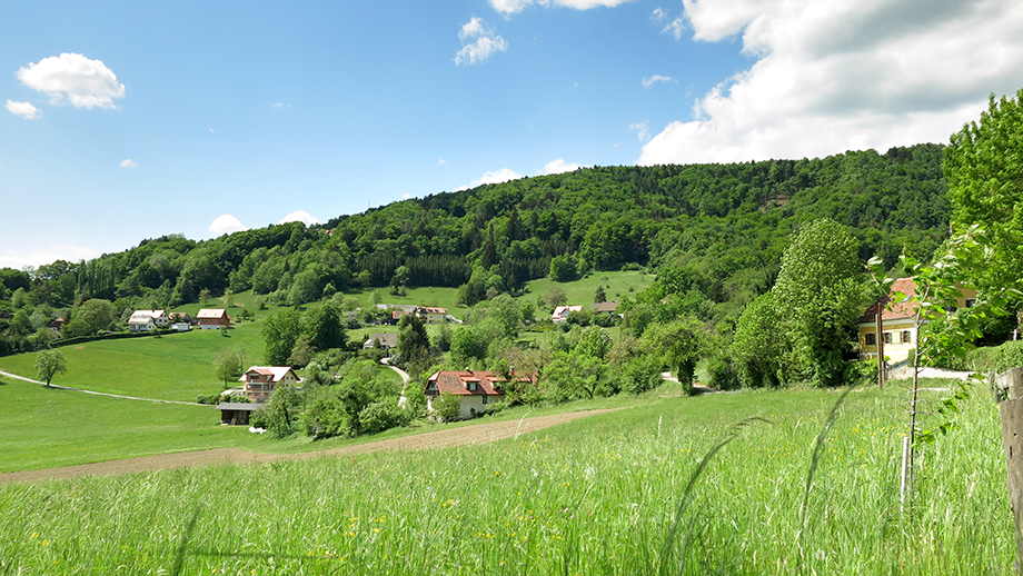 Thal Kötschberg, Richtung Waldsdorfberg. Foto: ©Auferbauer