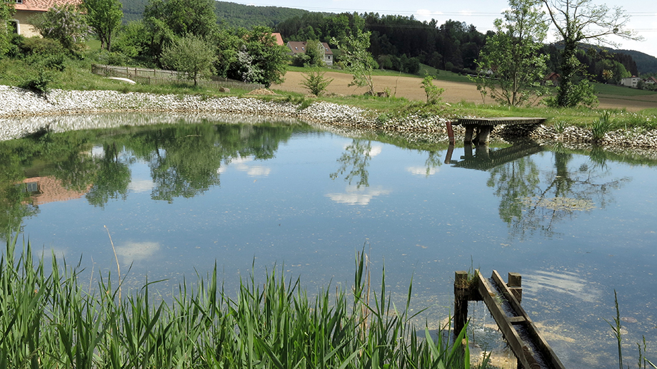 An der Schlüsselhofstraße in Thal Kötschberg. Foto: ©Auferbauer