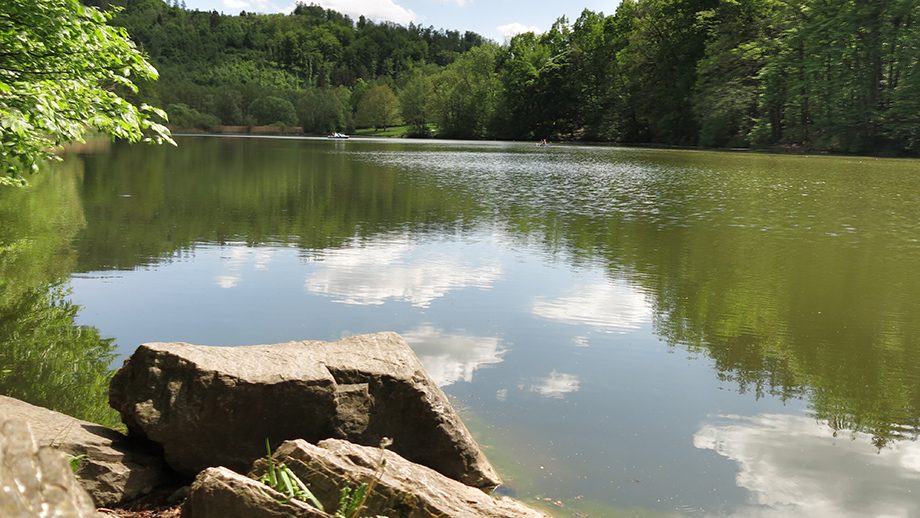 Am Thalersee. Foto: ©Auferbauer