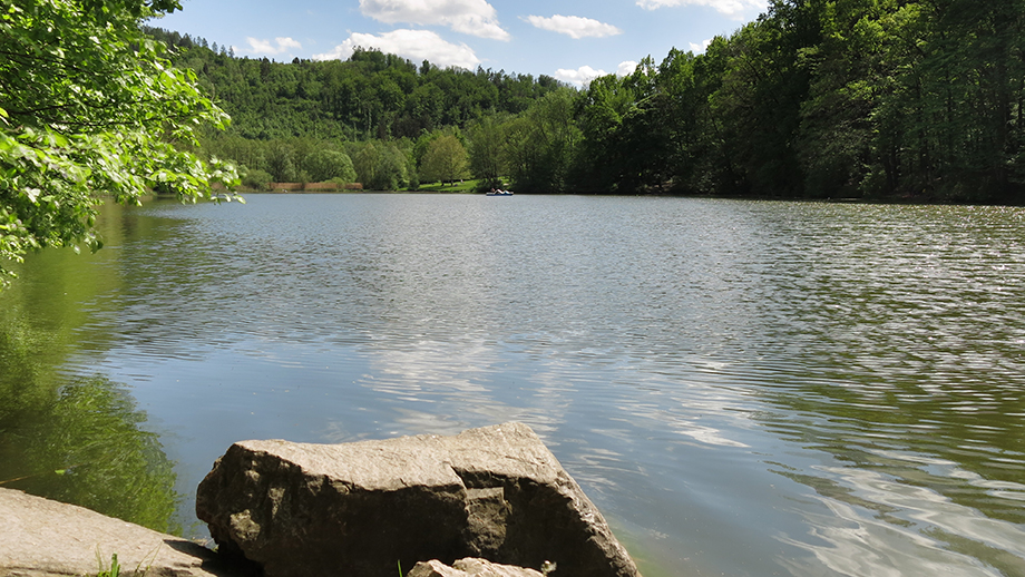 Am Thalersee. Foto: ©Auferbauer