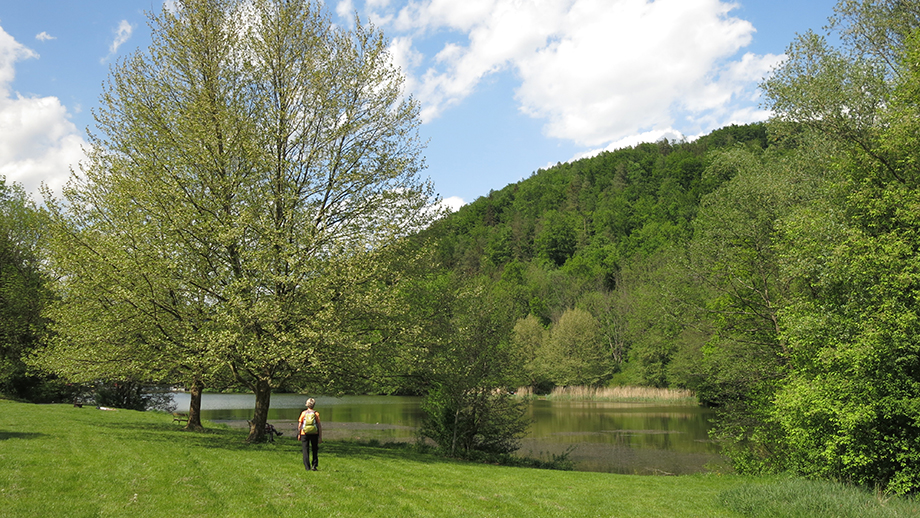 Am Thalersee. Foto: ©Auferbauer