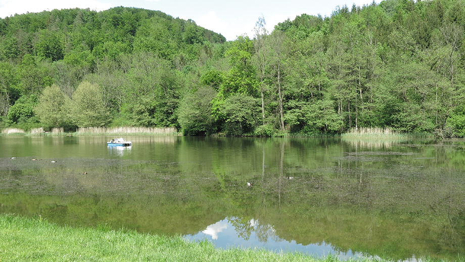 Am Thalersee. Foto: ©Auferbauer