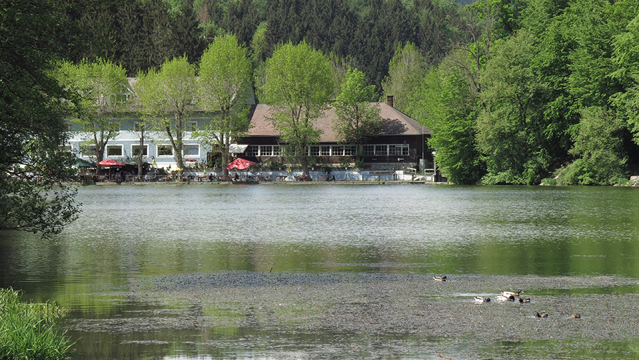 Am Thalersee. Foto: ©Auferbauer