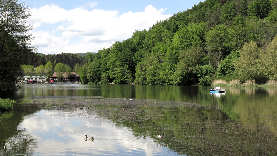 Am Thalersee. Foto: ©Auferbauer