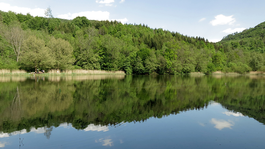 Am Thalersee. Foto: ©Auferbauer