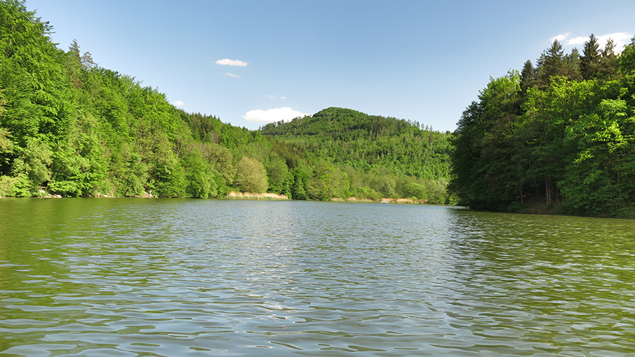 Am Thalersee. Foto: ©Auferbauer