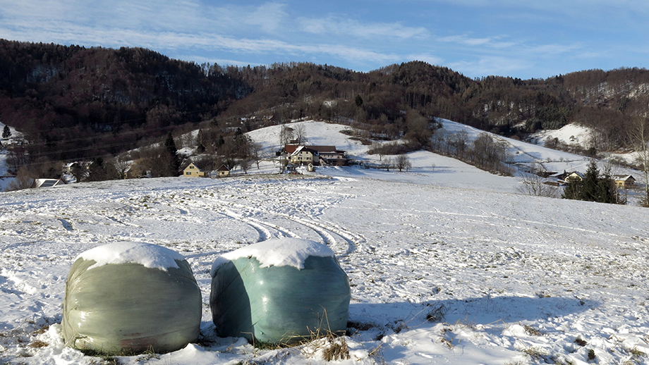 Thal Kötschberg. Foto: ©Auferbauer