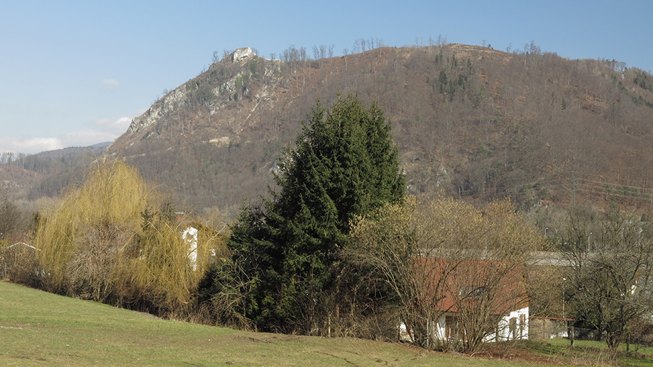 Aus Raach (380 m) zum Kanzelkogel (615 m). Foto: ©Auferbauer