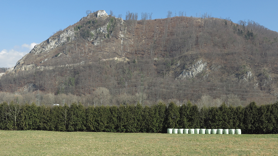 Am Waldweg in Raach, jenseits der Mur steht der Kanzelkogel (615 m). Foto: ©Auferbauer