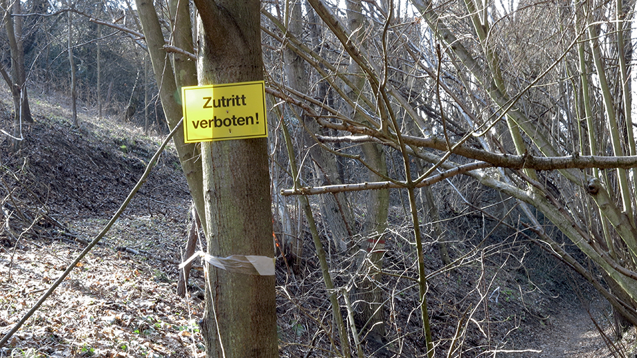 Bitte, rechts weiter, aus der Straßengelstraße abzweigen in diesen Staudentunnel. Foto: ©Auferbauer