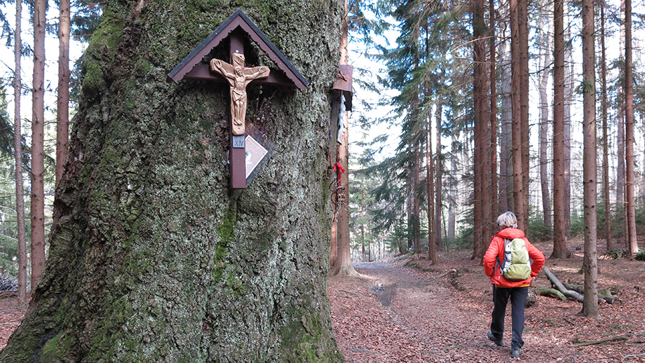 An der Bilderbuche am Thaler Sattel. Foto: ©Auferbauer