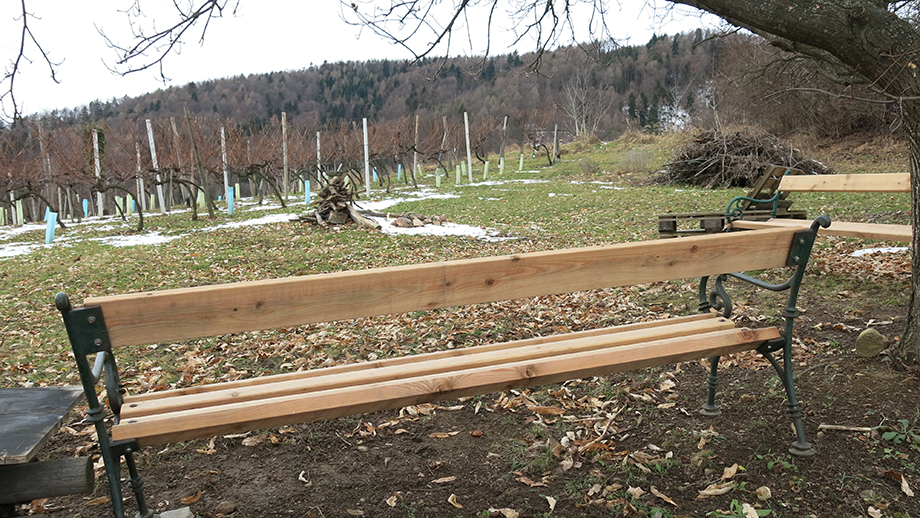 In Thal-Kötschberg, Rastplatz (550 m) am Weingartenweg. Foto: ©Auferbauer