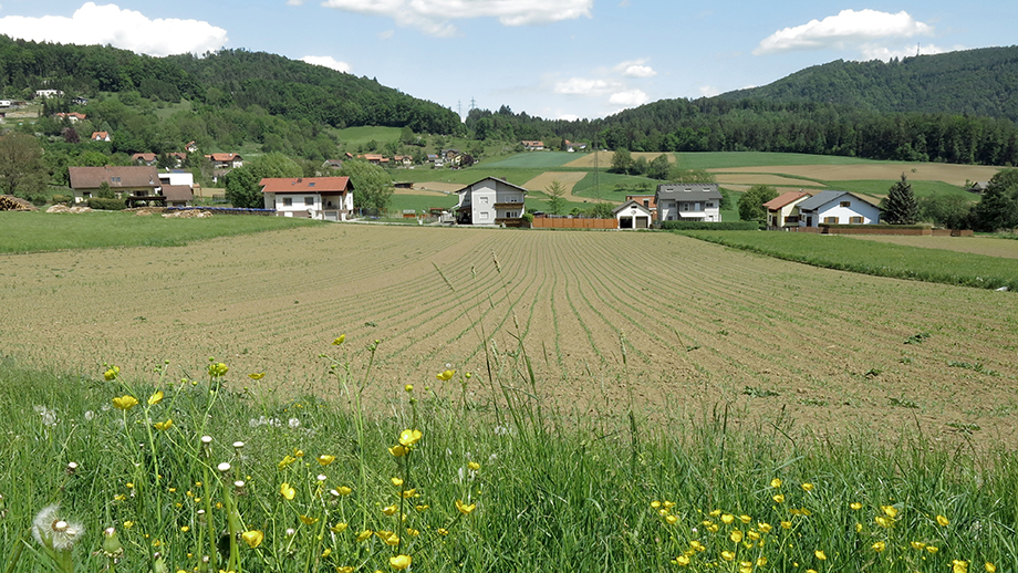 Richtung Thal-Oberbichl, ein nächstes Ziel bahnt sich an. Foto: ©Auferbauer