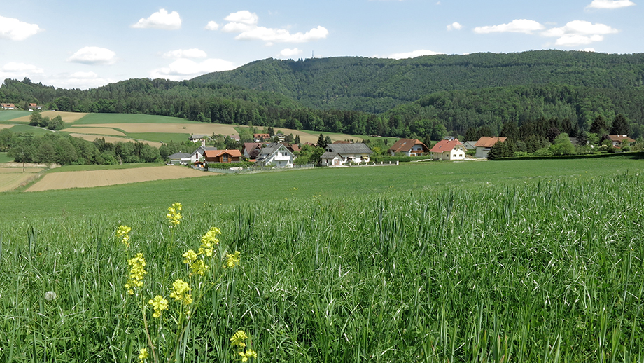 Aus Thal-Kötschberg in Richtung Plabutsch. Foto: ©Auferbauer