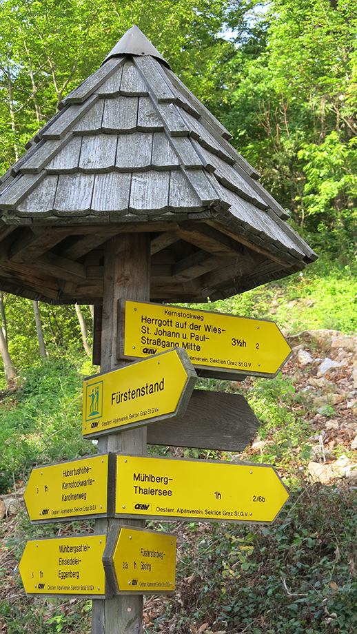 Kernstockweg, Weggabel nahe am Fürstenstand. Foto: ©Auferbauer