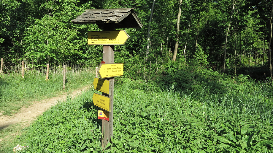 Gaisbergsattel (527 m), Weggabel. Foto: ©Auferbauer