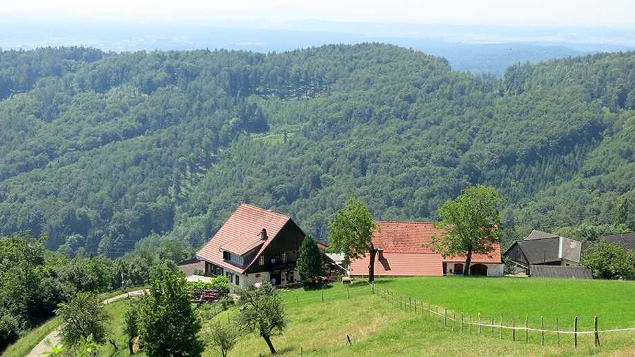 Am Buchkogel, vom Gasthaus Orthacker (550 m) Richtung Florianiberg. Foto: ©Auferbauer