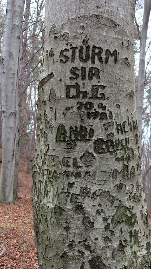 Zeitlose Botschaften auf der Hubertushöhe. Foto: ©Auferbauer