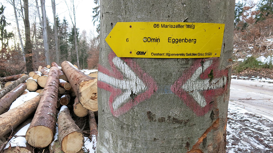 50 Prozent Fehlanzeige: Hier verläuft nicht der Mariazellerweg, jedoch der Weg Nr. 5, Richtung Einsiedelei. Foto: ©Auferbauer