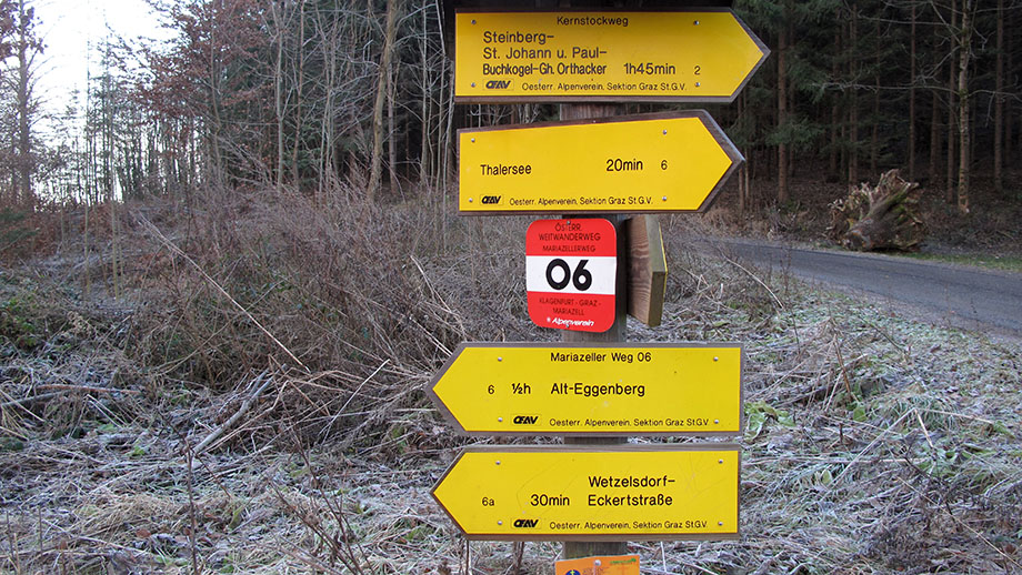 Aus dem Gaisbergsattel (527 m) auch abkürzend stadtwärts, konkret in der Eckertstraße zur Straßenbahn-Haltestelle Baierdorf. Foto: ©Auferbauer