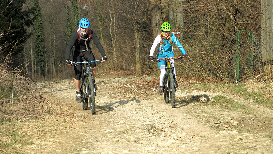 Multifunktionelle Trasse am Gaisberg, mountainbiken, wandern, spazieren, laufen. Foto: ©Auferbauer