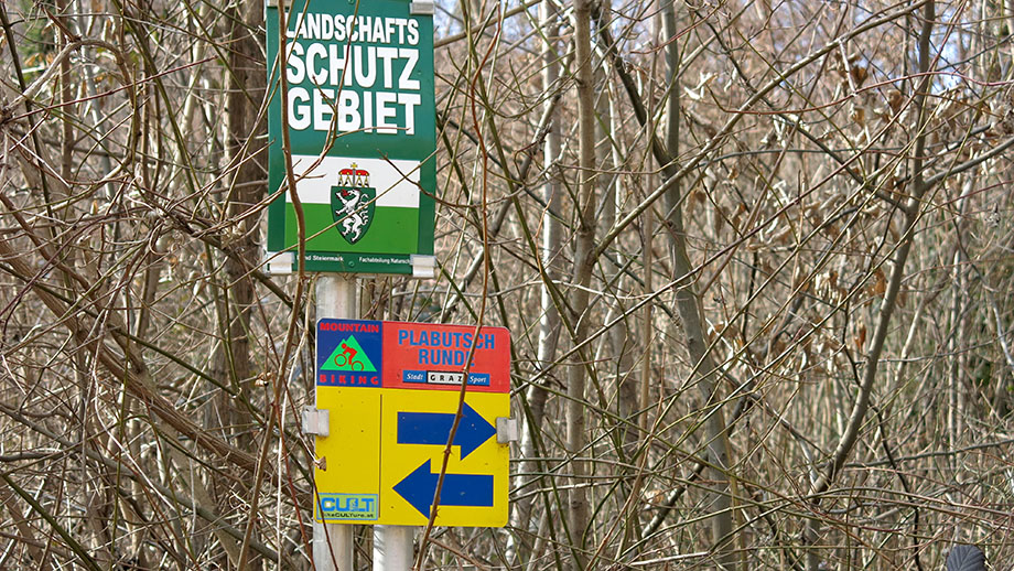 Am Gaisberg die Natur genießen: mountainbiken, wandern, laufen und spazieren. Foto: ©Auferbauer