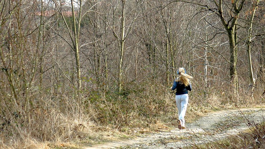 Am Gaisberg die Natur genießen: laufen, wandern, spazieren oder mountainbiken. Foto: ©Auferbauer