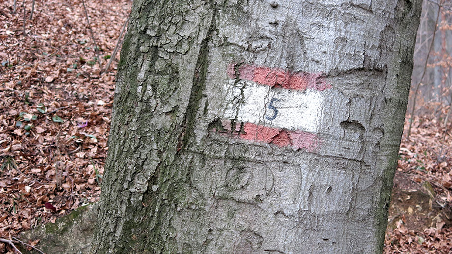 An der Erdgasleitung, Weg Nr. 5, in Richtung Einsiedelei. Foto: ©Auferbauer